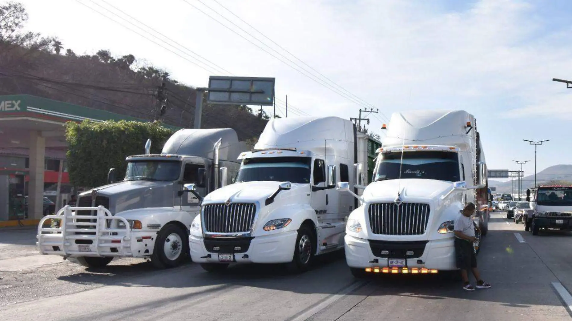 Autotransporte de carga-Cofece